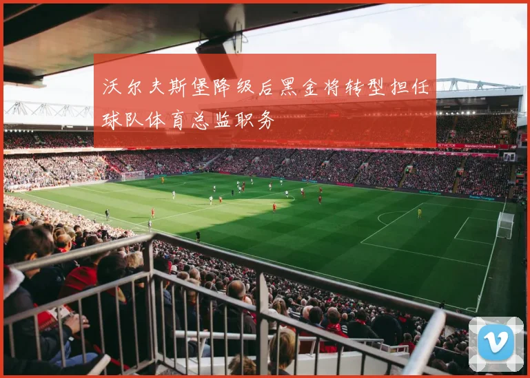 沃尔夫斯堡降级后黑金将转型担任球队体育总监职务