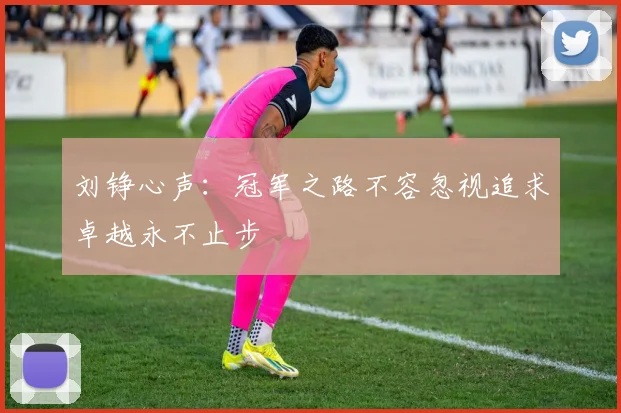 刘铮心声：冠军之路不容忽视追求卓越永不止步